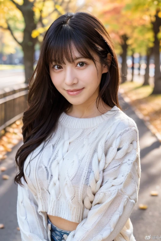 (masterpiece, best quality, perfect anatomy, highres, 8k, realistic, photorealistic, natural skin texture, no makeup:1.2), 1girl, solo, Japanese, age20, jp idol, shy smile, (very cute:1.3), large breasts, perfect figure, (oversized plain sweater:1.2), at autumn park, portrait