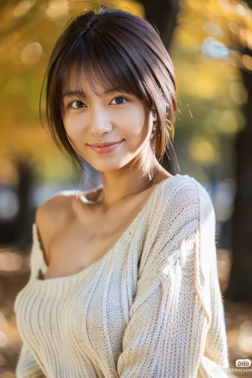 (masterpiece, best quality, perfect anatomy, highres, 8k, realistic, photorealistic, natural skin texture, no makeup:1.2), 1girl, solo, Japanese, age20, tanukigao, shy smile, (very cute:1.3), large breasts, perfect figure, (oversized plain sweater:1.2), at autumn park, portrait