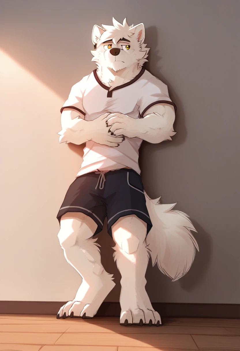 Furry，Wolf boy，White fur，crystal blue eyes，Single fluffy tail，greyt hair，short detailed hair，summer day，Nude, naked, average penis，No clothing, E621, realistic penis, hand on ass