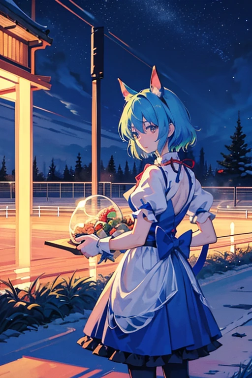 cirno(touhou) A herd of Cirnos are playing with thoroughbreds at the racetrack at night.anthro male horses having a meal, stilageA humanoid male horse and a humanoid male horse have a party on Christmas