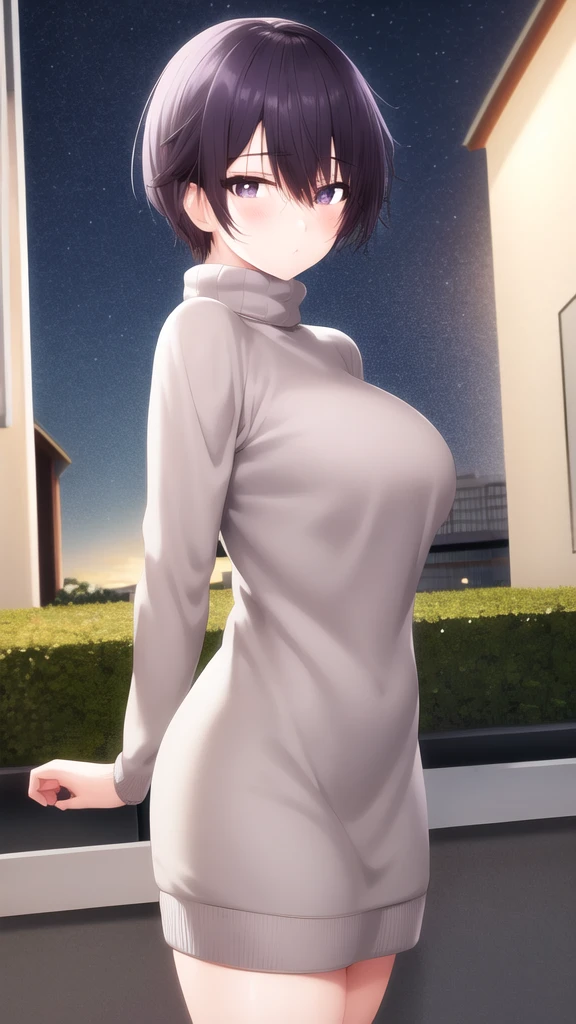 masterpiece, best quality, girl, solo, looking at viewer, amane_fujimiya, large breasts, sweater dress, long sleeves, turtleneck, outdoors, street, standing, cowboy shot, night