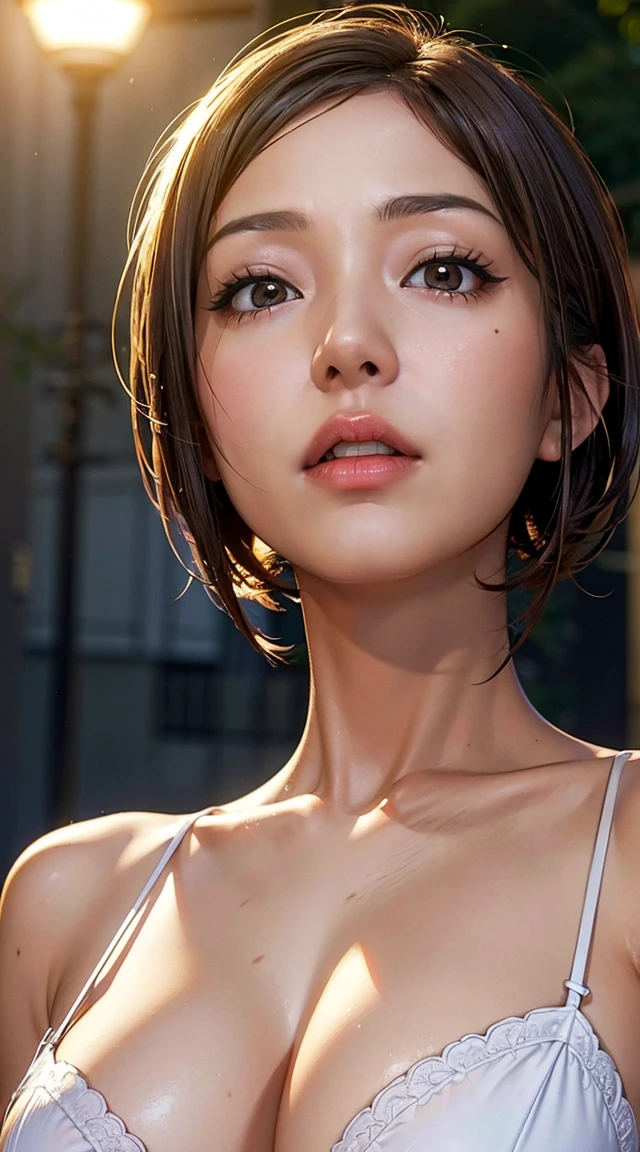 (((Meiko )))(( best quality, 8k, masterpiece: 1.3,   raw photos from the last century)),  Concentration: 1.2, (1. ASPA Girls : 1.2), (Realistic, photo-Realistic:1.37), (  face focus to be interrogated : 1.1),   cute face, short,   hair is unkempt , (  white lingerie: 1.1),   panties, from below ,  beautiful woman standing under the light of a street lamp,  movie lighting