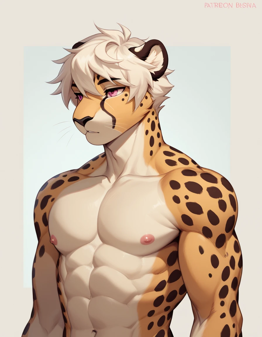 Solo, male, anthro cheetah, oriental, athletic, slim, beige body,  hair, solo, male, cheetah, white colored body, pink eyes, lean body, anthropomorphic cheetah, femboy, muscle, white hair, bara, fursona reference, reference, correct anatomy,correct ayes, detailed, furry adopt, for avatar, avatar profile, art for profile,  knight, ultra detailed,