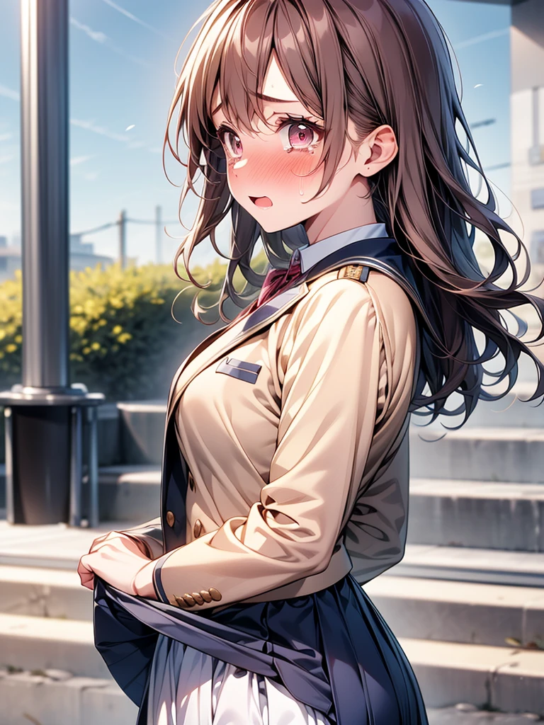 1girl, medium breasts,High School Uniform,blazer uniform,Wearing bloomers under her skirt,Lift up the skirt,blush, nose blush, embarrassed, from side,
best quality,medium quality, turning your gaze , face forward,whole body, open her mouth , surprise,  crying expression , 