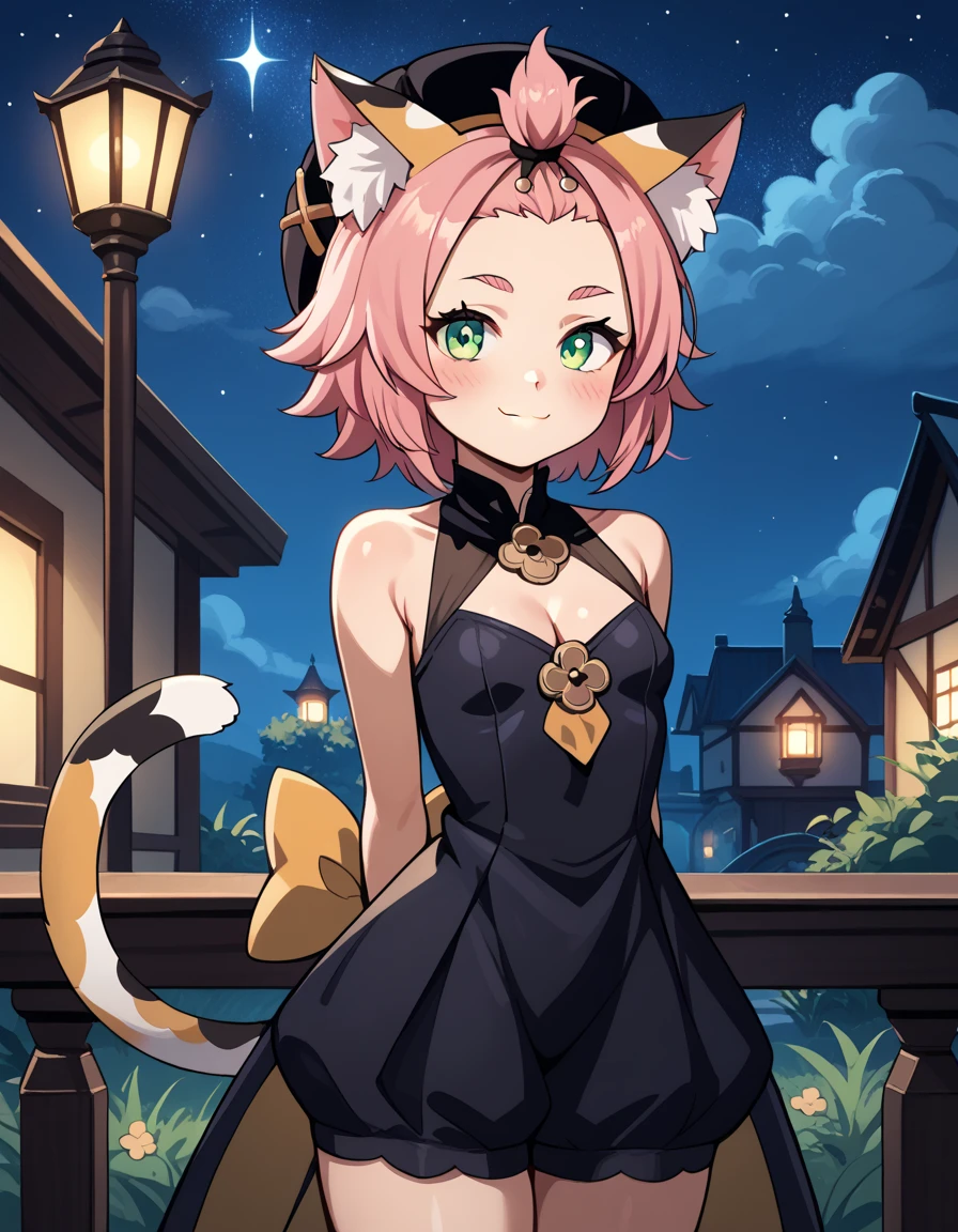 score_9, score_8_up, score_7_up, score_6, source_anime, BREAK diona \(genshin impact\), mngmst_style, 1girl, animal ear fluff, animal ears, cat ears, cat girl, cat tail,  forehead, green eyes, pink hair, short hair, solo, tail, cleavage, small breasts,     (curvy), cute, elegant black dress, night, starry sky, romantic setting, smile, blush, hands behind back, cowboy shot, petite, ass, solo