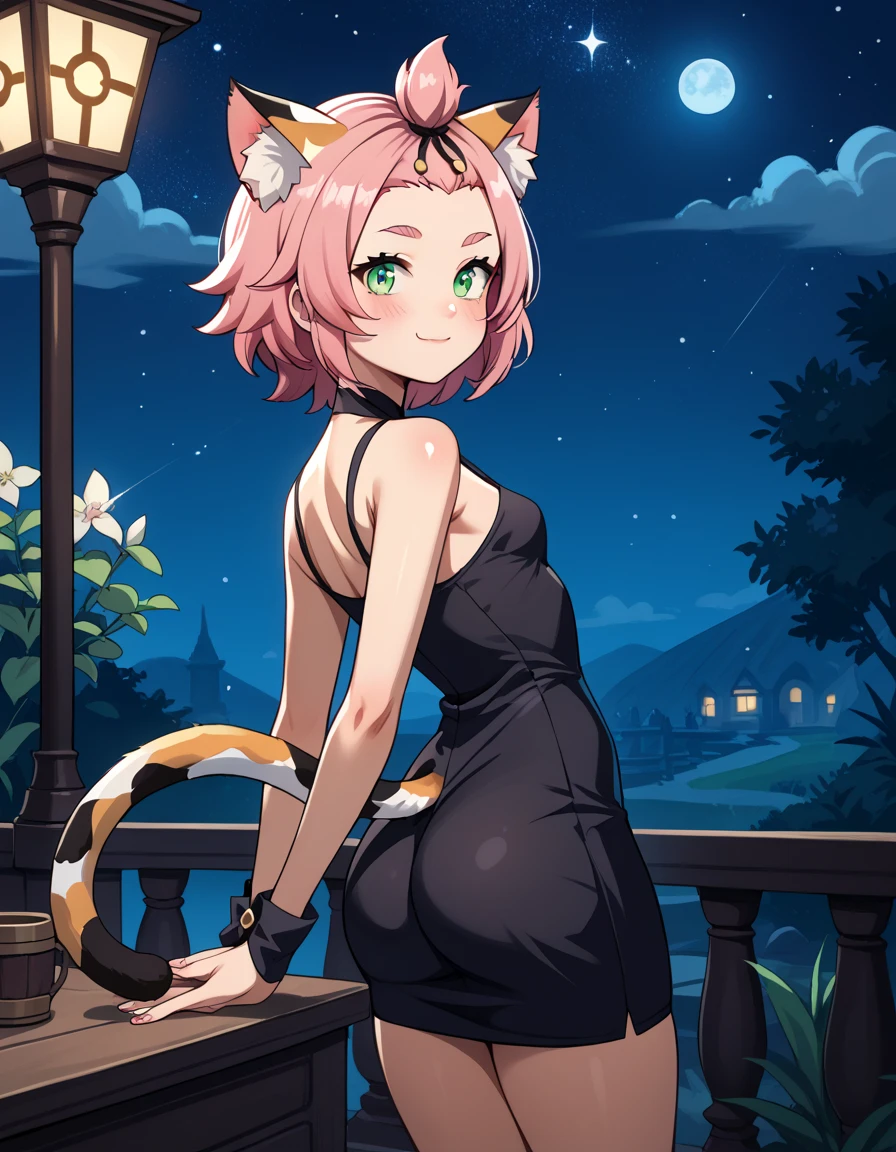 score_9, score_8_up, score_7_up, score_6, source_anime, BREAK diona \(genshin impact\), mngmst_style, 1girl, animal ear fluff, animal ears, cat ears, cat girl, cat tail,  forehead, green eyes, pink hair, short hair, solo, tail, cleavage, small breasts,     (curvy), cute, elegant black dress, night, starry sky, romantic setting, smile, blush, hands behind back, cowboy shot, petite, ass, solo