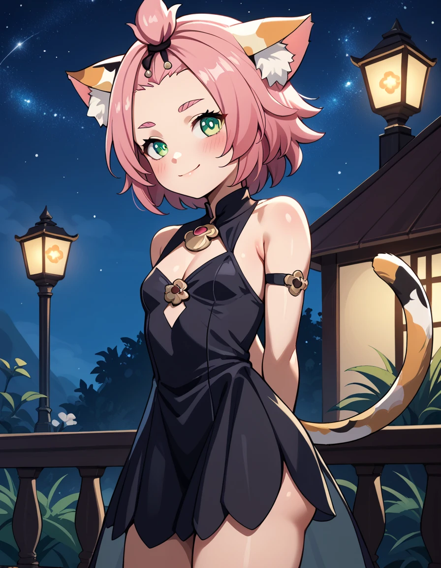 score_9, score_8_up, score_7_up, score_6, source_anime, BREAK diona \(genshin impact\), mngmst_style, 1girl, animal ear fluff, animal ears, cat ears, cat girl, cat tail,  forehead, green eyes, pink hair, short hair, solo, tail, cleavage, small breasts,     (curvy), cute, elegant black dress, night, starry sky, romantic setting, smile, blush, hands behind back, cowboy shot, petite, ass, solo