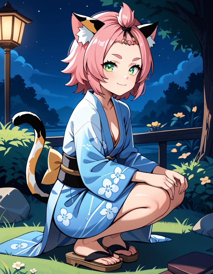 score_9, score_8_up, score_7_up, score_6, source_anime, BREAK diona \(genshin impact\), mngmst_style, 1girl, animal ear fluff, animal ears, cat ears, cat girl, cat tail,  forehead, green eyes, pink hair, short hair, solo, tail, cleavage, small breasts,  night, grass, squatting, yukata, japanese clothes, floral print, from side, smile, looking at viewer, sandals, closed mouth, cleavage,