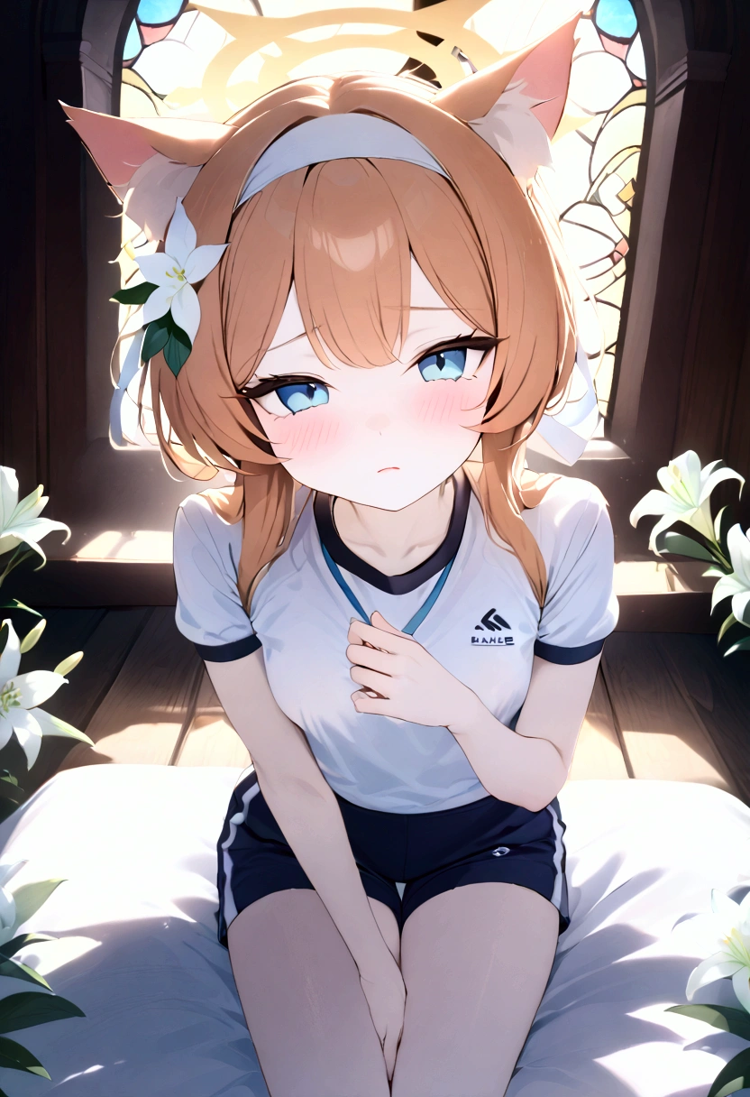 High image quality 、masterpiece、  High Quality   、Full HD、4K 、 seen from above 、Marie Iraki(blue archive)、 bright orange hair 、Cat ears、White flower hair ornament、 white headband 、 blue eyes、 slim、 flat chested、Yellow halo (Kisaki)、 Shy 、blush、 red cheeks 、Watery eyes、Gym clothes、 shorts、 flat chested、 is sleeping in bed、church、 stained glass 、Lily flower