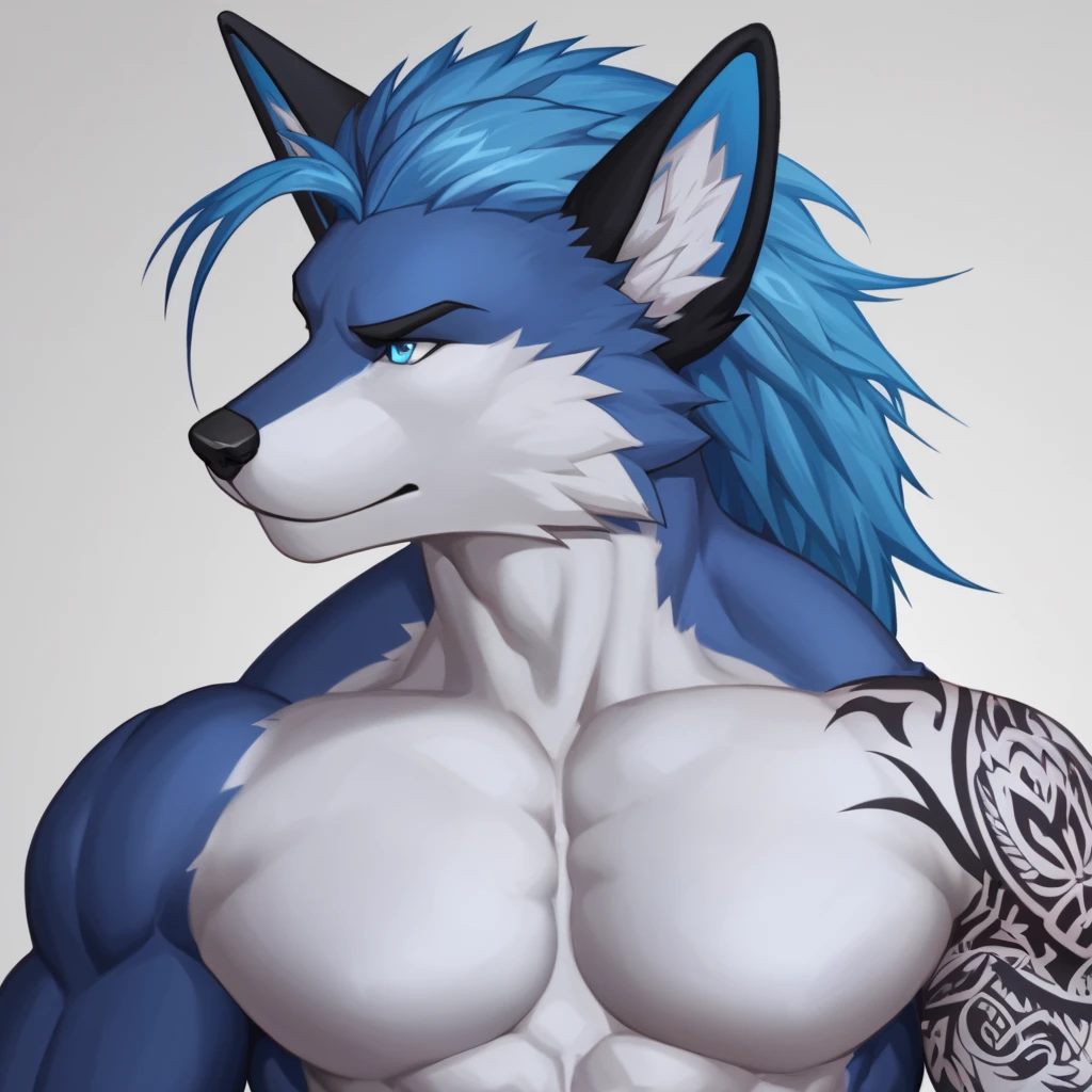 furry, fox, muscle, strong, blue hair, may tay, tattoo on the left arm, white chest, blue eyes,