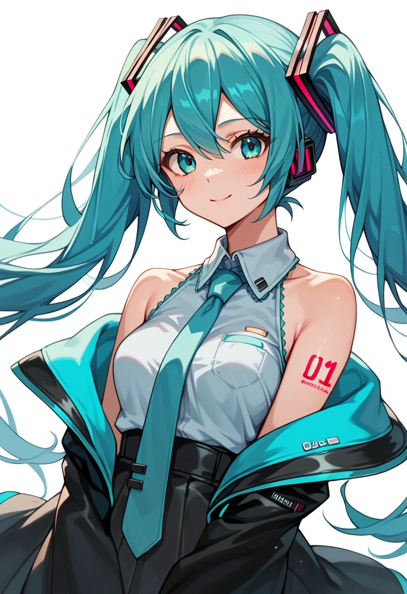 score_9, score_8_up, score_7_up, score_6_up, score_5_up, score_4_up, anime_source, hatsune miku