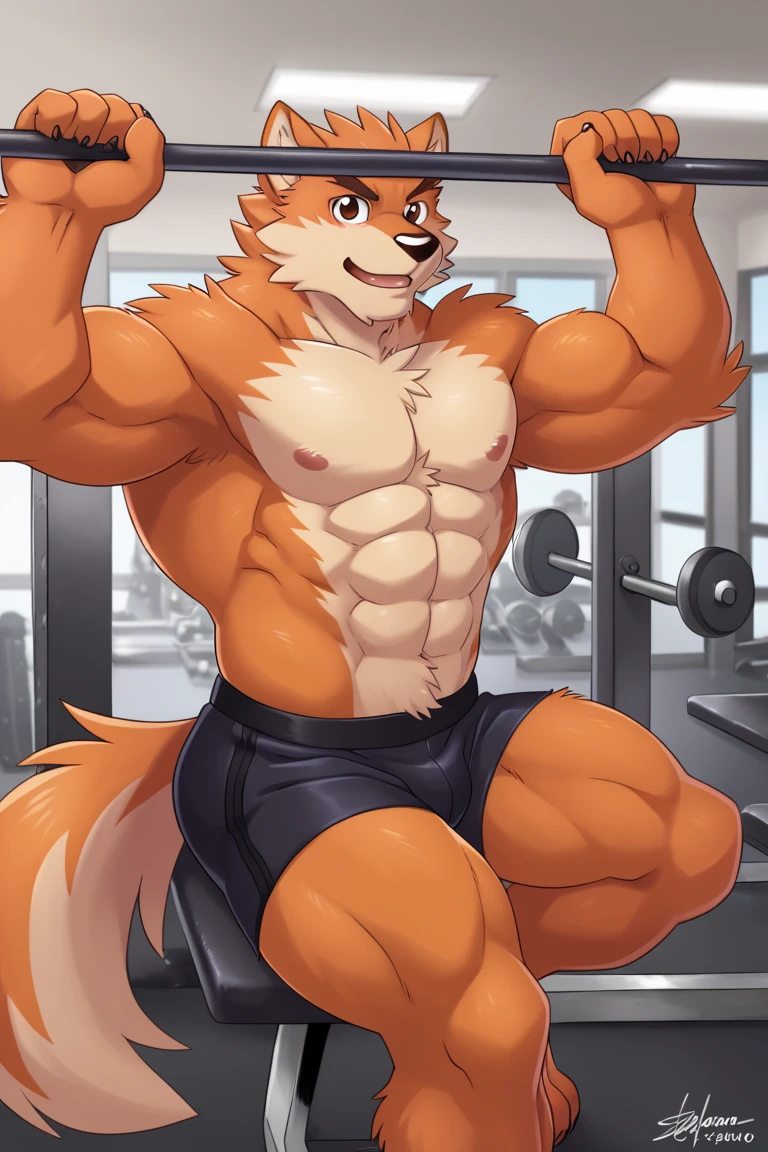 A hulking calico cat wearing black shorts while lifting weights at the gym with his big dick out leaking cum