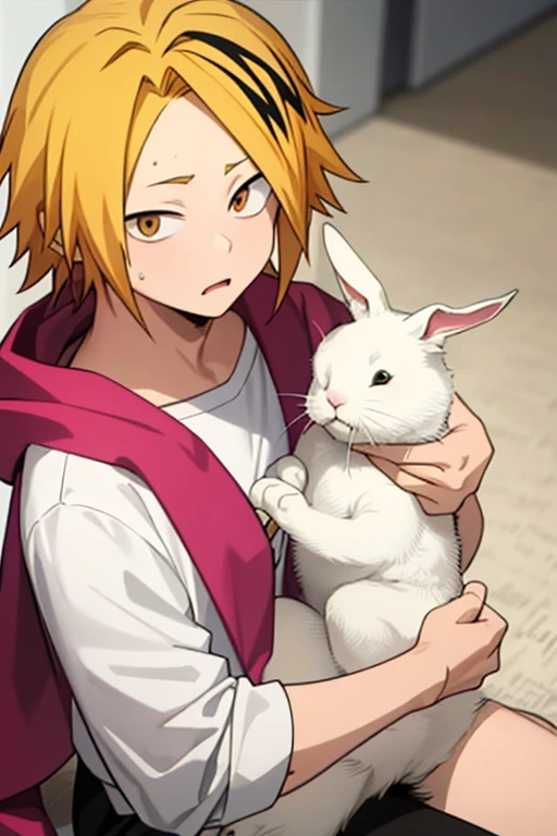 Highly detailed, High Quality, Masterpiece, beautiful, YaeMikoFox, <lora:YaeMikoFox:1>, dio, jacket, pants, headband, <lora:Char_Sigmas_Dio:0.9>, holding, holding animal