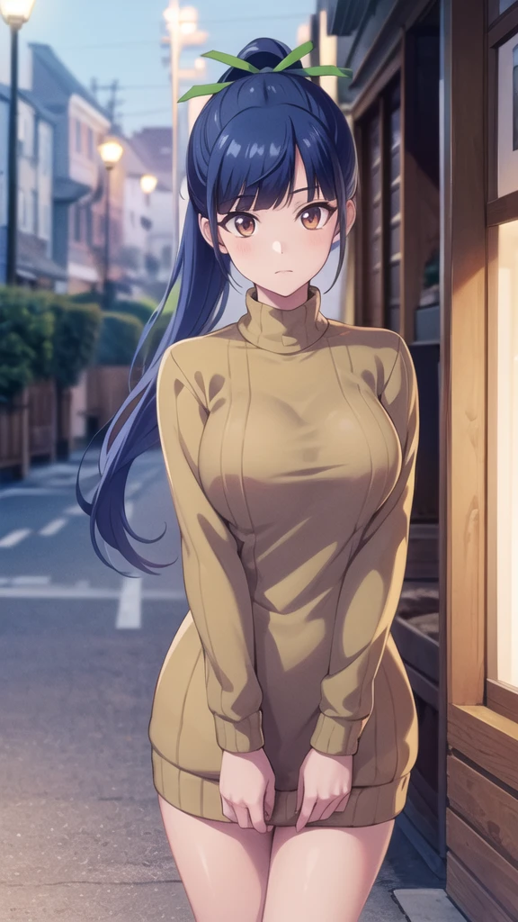 masterpiece, best quality, highres, 1girl, solo, long hair, blue hair, ponytail, hair ribbon, brown eyes, sweater dress, turtleneck, night, street, standing, cowboy shot,