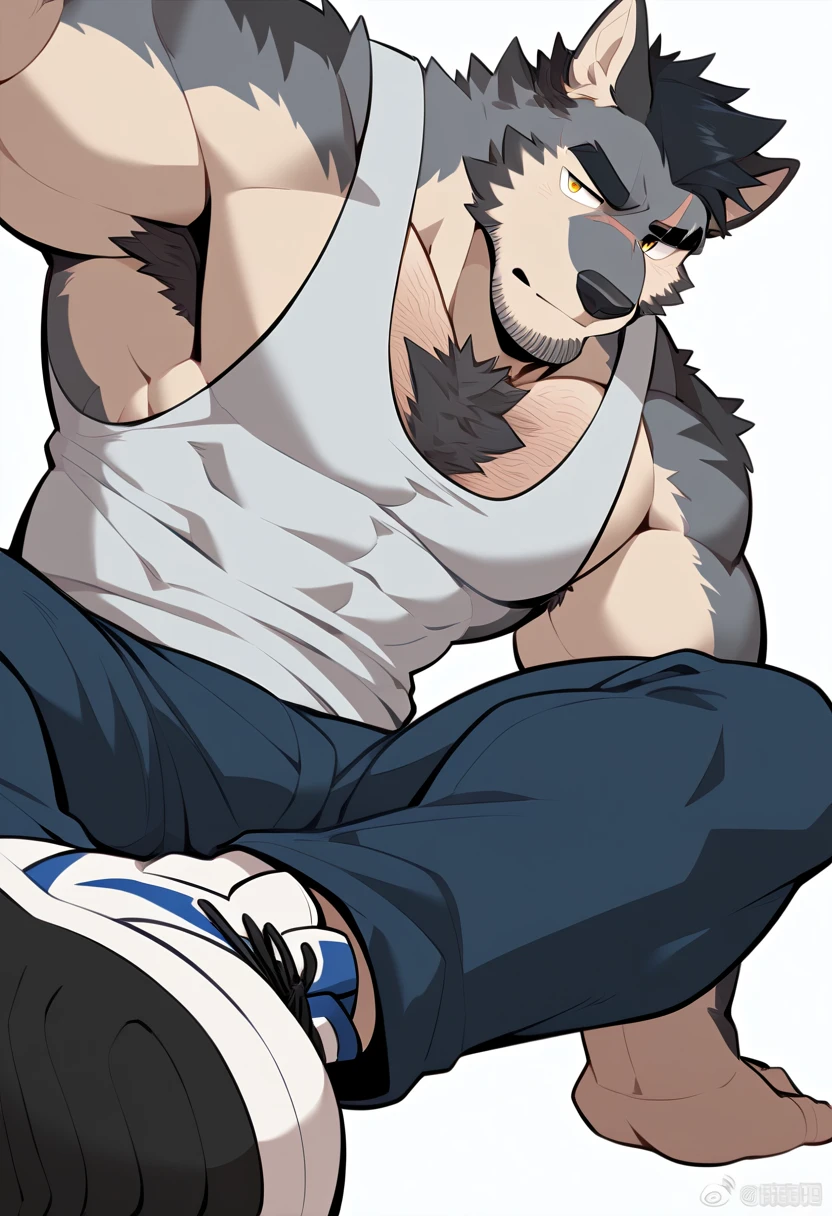 Anime Character: Priapus, muscular 20-something male, masculinity, male focus, male, 1boy, male, Silver gray, thick and slightly shaggy. Has furry wolf ears in the same silver gray shade. Eyes: Amber, almost glowing. Predatory gaze. Body: Muscular, broad-shouldered, hairy chest/forearms, very hairy and musky armpits, Face: Chiseled jawline, straight nose, scruffy facial hair,Mullet, thick eyebrows, Features: A scar across his left eyebrow. Gray wolf tail. Wears a blue college jacket with a [SUCC] logo, a white tanktop underneath ripped jeans and sneakers, Anthro, full and firm chest muscles, muscular male, muscular, short black hair, thick eyebrows, stubble, ((Anthro))