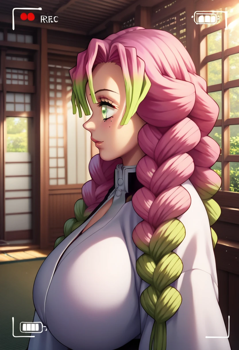 Style 9，1 woman, View in viewfinder, Garden to sit in,  Demon Slayer , multi-colored hair,  Pink hair,  green hair,  Long twin pigtails,  green eyes,  detailed eyes, kimono,  Big breasts, mature body, culvage,   illustration，beautiful background，cuerpo entero， shot at a high angle , Beautiful photo pose，profile， front view, View in viewfinder, Very detailed wallpaper,  lyrics,  masterpiece 