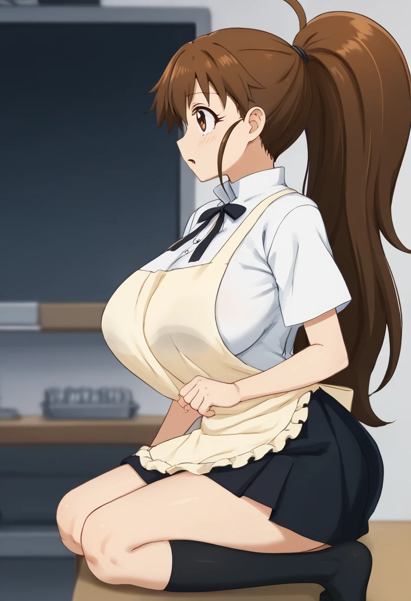  score_9,  score_8_up,  score_7_up, evaluation_Explicit,   anime screen cap,  cowboy shooting alone,  1 girl, Alone, In progress!!, Taneshima Poplar,  Brown Eyes ,  brown hair,  long hair,  ponytail, Big Breasts,  white shirt, , black skirt  ,apron, One legged paeti,Black socks, Popular School Uniforms,  viewers who can see through their bust, from side