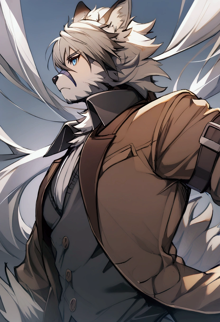 Wolf anthro , Gray fur, blue eyes, brown jacket, long White hair 