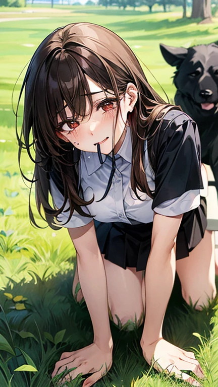 masterpiece、Highest quality、Super detailed、Perfect Human Anatomy、distinct、woman、Beige underwear、blouse、Black Hair、ponytail、Dark Eyes、Are thin、Flat chest、Dark Eyesに涙が滲む、Slanted Eyes、Quiet anger、Sweat、Sigh、Park bench、