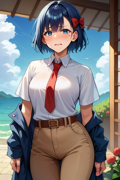  score_9,  score_8_Excellent,  score_7_Excellent,  score_6_Excellent,  source_Anime,  1 girl, SOLO BREAK Tsutsumi Seishiro ,  Mole Under Eye ,  blue hair,  short hair,   hair bow ,  blue jacket ,  white shirt,  colored shirt ,  red tie , belt, Brown Pants,  Wavy Mouth , Wave, garden,  blue sky, wood, I&#39;Iはあなたを見ています,  medium chest 