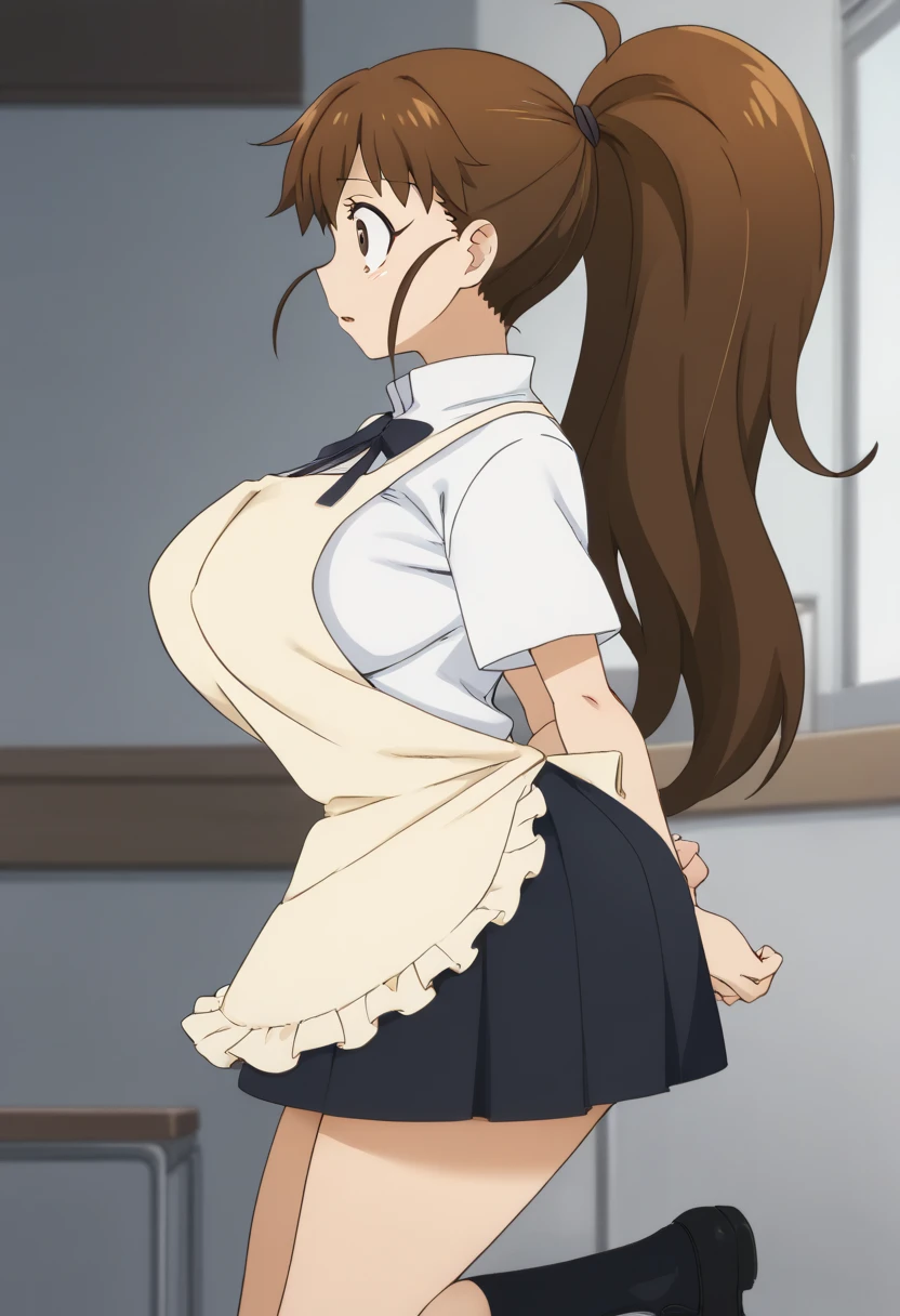 score_9, score_8_up, score_7_up, rating_explicit, anime screencap, POV, amazon position, 1girl, solo, working!!, taneshima popura, brown eyes, brown hair, long hair, ponytail, (large breasts:1.2), white shirt,black skirt,apron, panties aside,black socks, popura-schooluniform , faceless male, skirt up, penis, girl looking back, look penis, sweat, cum explotion, cum exlpoed , cuming everywhere