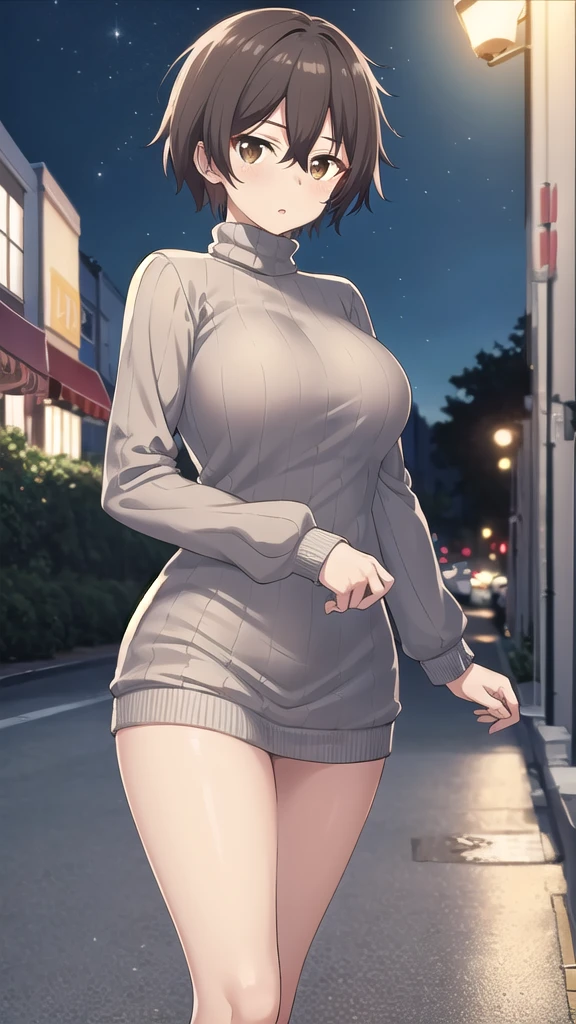 masterpiece, best quality, high quality, girl, solo, looking at viewer, mizuto_irido, brown eyes, brown hair, hair between eyes, large breasts, sweater dress, long sleeves, turtleneck, outdoors, street, standing, cowboy shot, night