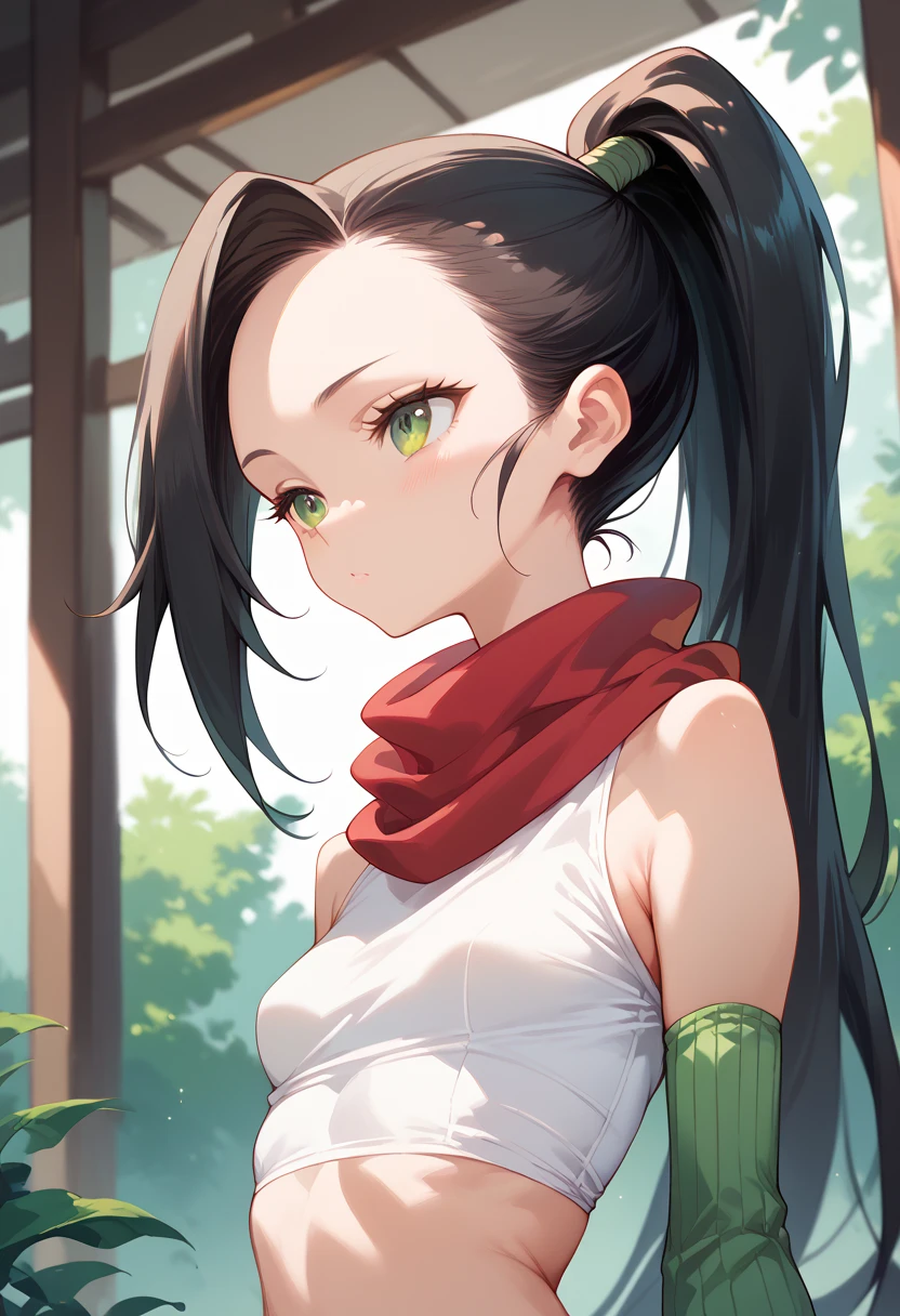 masterpiece, high definition , best quality,8k
( black hair, ponytail,Small breasts,Skinny)
( white shirt,green arm warmers,Red scarf)