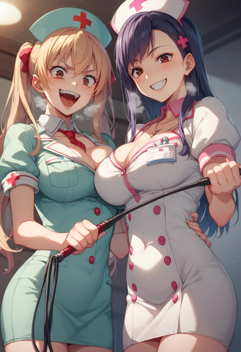 The background is a dark basement made of bricks 、Two women in their 20s with big breasts 、 Brown Eyes  、Yakumo Beni,  As for clothes, let them wear nurse clothes、,  holding a long whip in their hands ,  床に鞭を置け composition showing the floor from the ceiling 、cute anime style picture,  rough breathing,  crazy smile ,  crazy, evil, 