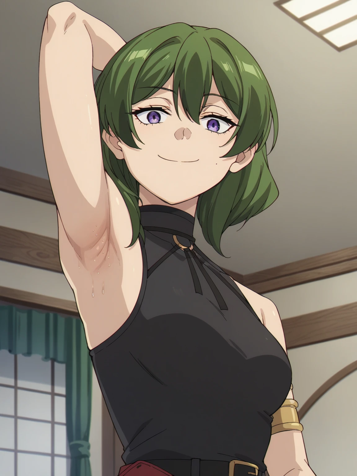 score_9, score_8_up, score_7_up, source_anime, anime screencap, 1girl, solo, ubel,green hair, purple eyes, black sweater, sleeveless sweater, turtleneck, bare shoulders, bare arms, arm behind head, armpits, looking at viewer, head towards viewer, evil smile, badhandv4, indoors, arms braclet, (armpit stubble:0.9), from side, from below, closed mouth , sweaty armpits