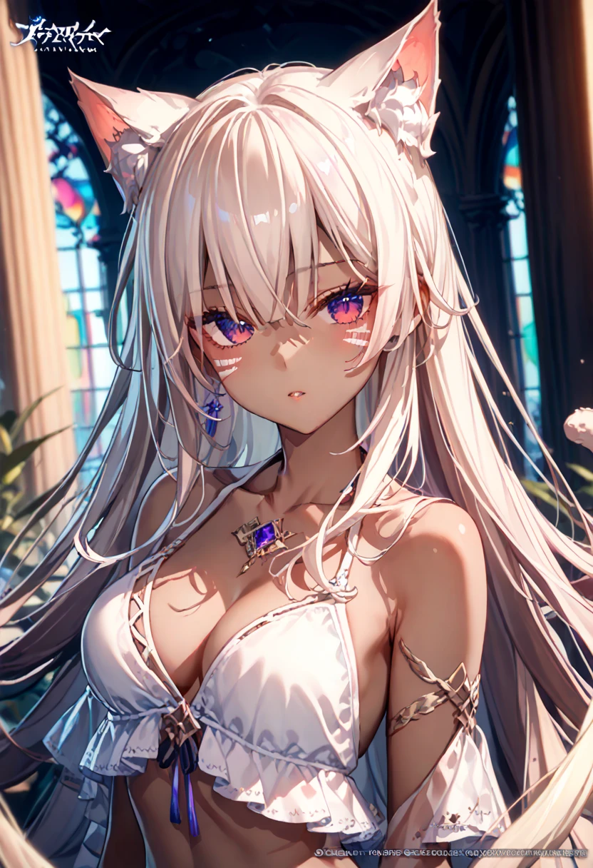 (masterpiece,   high quality  ,  best size   ,   official art,   beautiful and aesthetic  :1.2), (( cat ear and tail filter)), ((  1girl)),   in extremely detailed detail ,  BREAK,   incredibly detailed face, Eye details, blunt bangs,  короткие hair, hair, (  to hair between eyes  ), eyelashes,   purple eyes  , (  dark skin  :1.2),   Colorful  , bikini, 