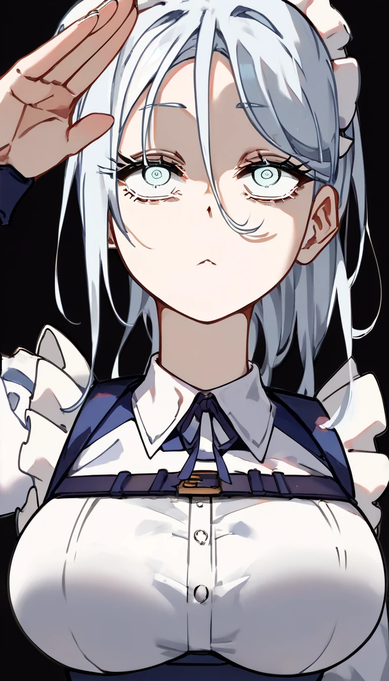   score_9,   score_8_up,   score_7_up,   score_6_up,   score_5_up,   score_4_up, BREAK source_Anime, light blue hair,(light blue eyes), Big Breasts,(( hollow eyes)), expressionless, (stand up, salute), ((Blue maid outfit)),   black background ,   simple backgrounds per person,