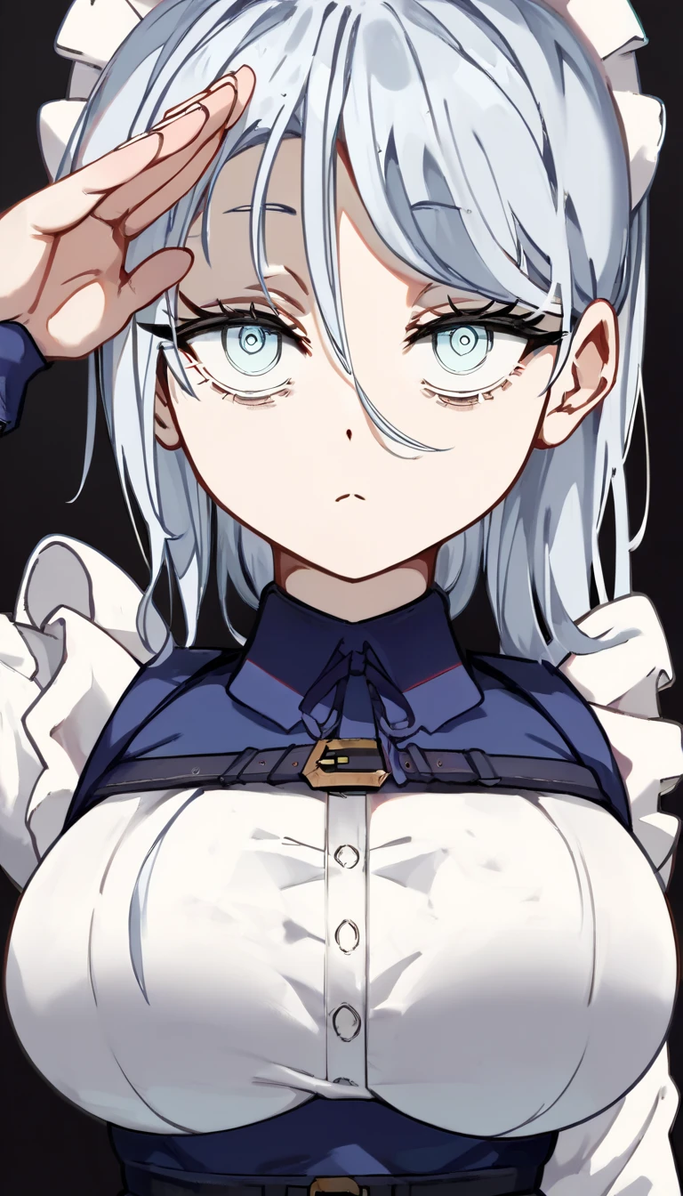   score_9,   score_8_up,   score_7_up,   score_6_up,   score_5_up,   score_4_up, BREAK source_Anime, light blue hair,(light blue eyes), Big Breasts,(( hollow eyes)), expressionless, (stand up, salute), ((Blue maid outfit)),   black background ,   simple backgrounds per person,