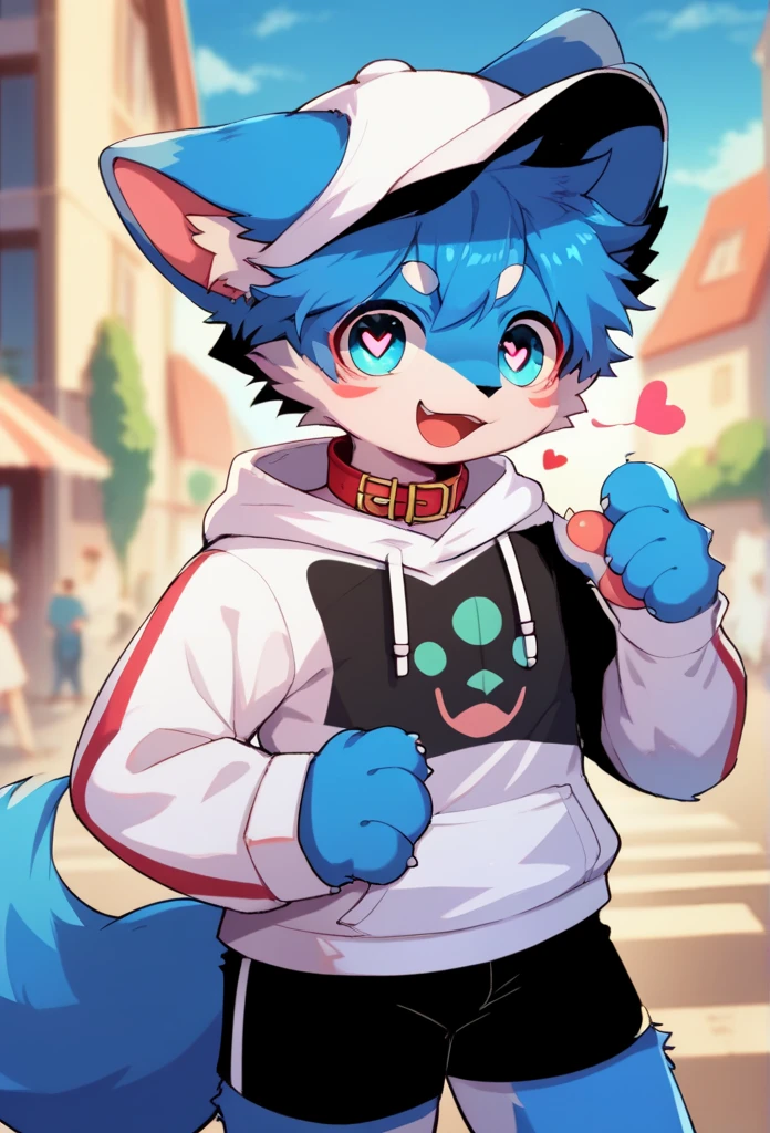  very detailedな, very detailed,Of blue fur, blue hair,,male,骨を見てExcited,Heart Eyes,participate,Red collar,Green-white and colored hat , cute face, fluffy fur like one,Excited,Horny boy,City,Smiling face,, fashionable town,doll,Dropped ears,Beautiful city , my mental age is  ,Want, black shorts with blue fur, sweatshirt ,  Long Sleeve ,Trendy,