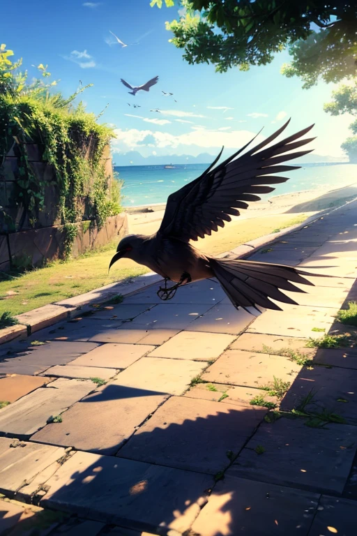 masterpiece:1.2，Illustration， Details，((The shadow of a bird flying to the ground:1.3)) ， high definition ，8ｋ， best quality，Angle from above，Professional photography， professional photos