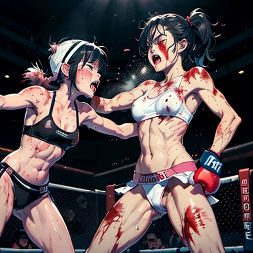 A battle royale between beautiful high school girls mixed martial artists。Covered in blood、Covered in wounds and in a bad shape。Fighting with punches and kicks。fighting violently。Suffering from damage。Mouth open and dripping blood。Facial swelling。Bruised body。With one eye closed, it seems painful。Fighting inside the Octagon。I&#39;m soaked in sweat。naked、Loincloth、Bandage。Erect nipples。Short black hair。