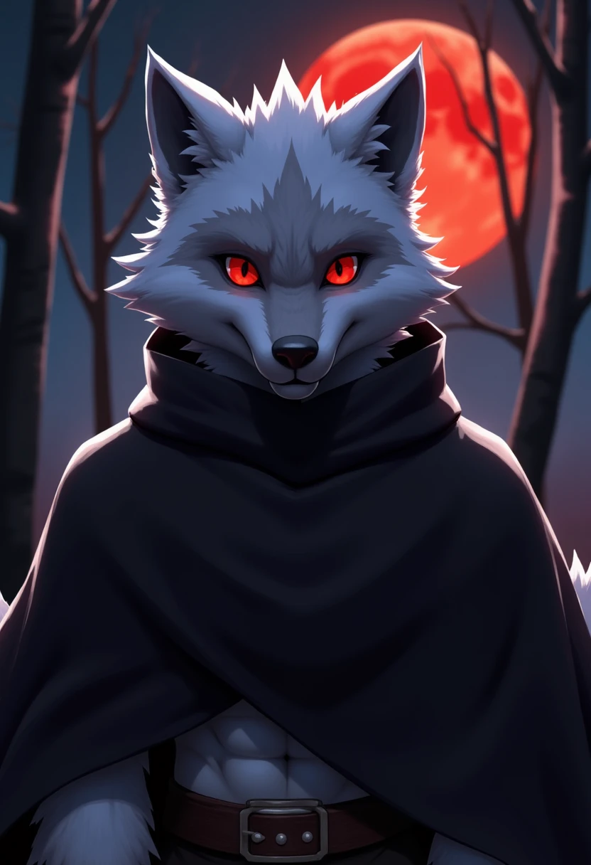 best quality, ultra high res,1furry boy， solo，detailed eyes, volumetric lighting, amazing, finely detail, , black cloak  , white fur, red eyes, black sclera, bright pupils, bright atmosphere, muscular, upper body, full moon , red moon , (blood moon), woods in background, night