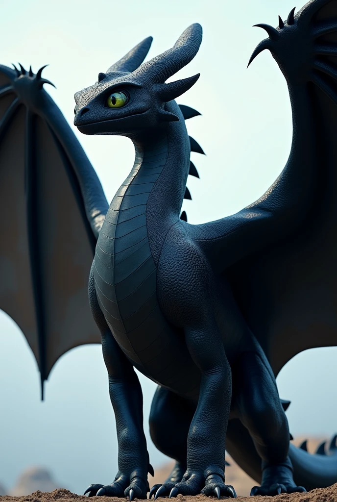 1. Male Dragon Wings (Black Dragon): "Realistic, majestic dragon wings inspired by How to Train Your Dragon, featuring a black dragon with large, powerful wings. The wings should have a dark, sleek texture with shades of deep black and hints of dark blue. The design should evoke strength and intensity, with intricate details resembling the fierce, majestic wings of a male dragon."