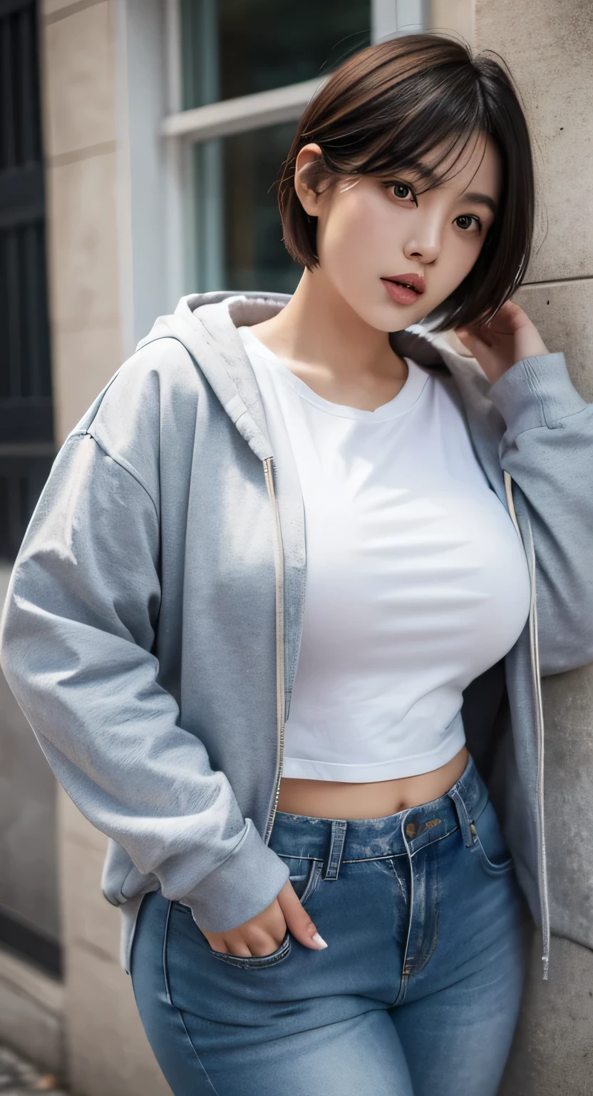 dasha taran,hoodie loose,thick body:2.0,huge breasts:2.5,smile