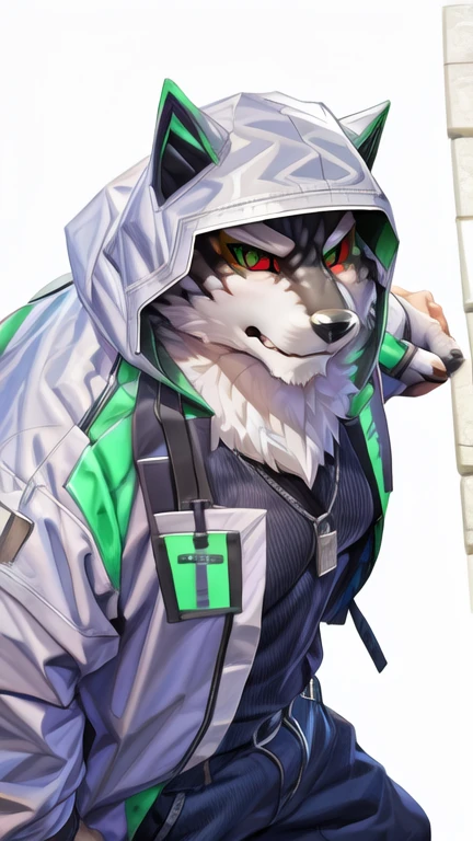 monomasa, furry, male, solo focus, wolf, tail, by kiyosan, by yupa, by Pino Daeni, (by null-ghost:0.8), (by drks:0.2), white hooded coat, hood up, pants, detailed eyes, black pupils, green eyes, red sclera, (yellow eyeshadow:0.8),  high-angle view, close-up, 