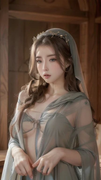 Beautiful and Sensual Virgin Mary。Looking at the camera。Reddish brown tunic, Blue-grey cloak, Beige veil。Halo