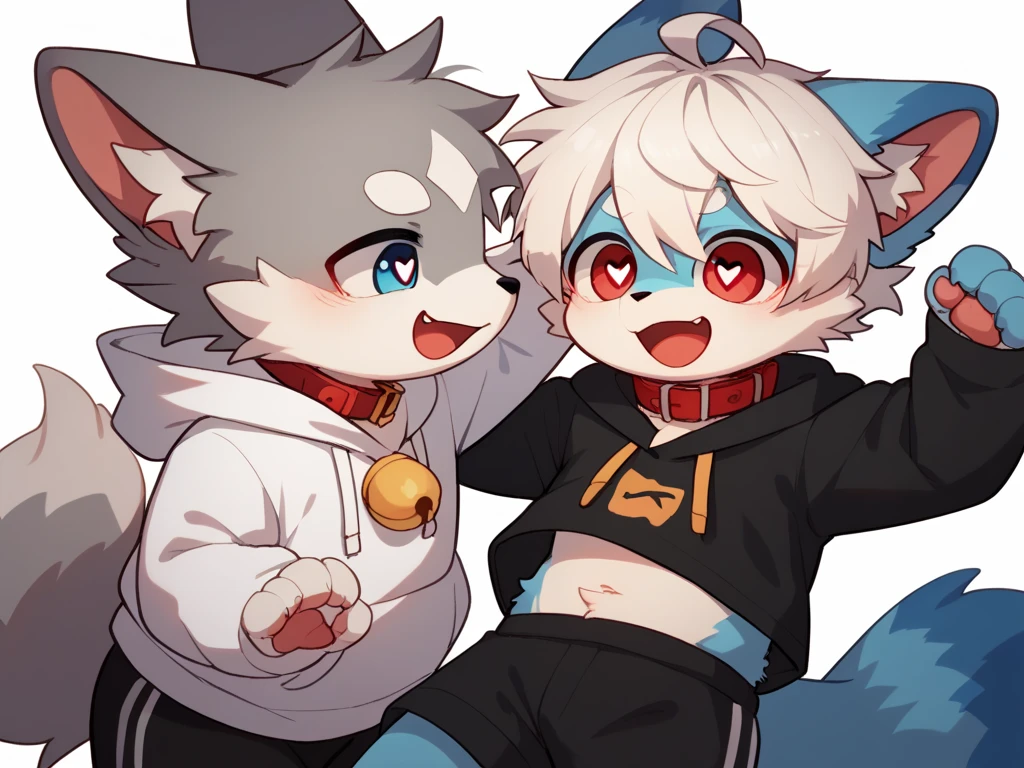 very detailed な, very detailed, white hair with gray fur, ,male, excited to see bones, Excited, participate, Cute fac e, fluffy fur, Horny boy, Red collar, blue cute ears, Fluffy Ears ,Fluffy Ears, cute fur boy, boy, Heart Eyes, Horny boy, black back, White background, reddening his nose, Droopy ears, black shorts, sweatshirt, Black long sleeves, Trendy