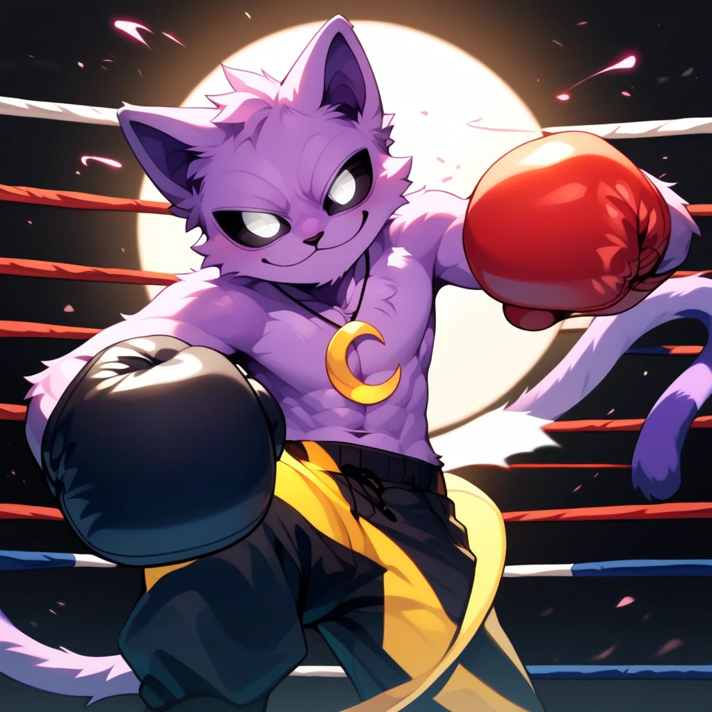 high quality, anime style, catnap, poppy_playtime, furry, male, adult, solo, black sclera, white eyes, calm face, long tail, antropomorfic, yellow crescent-shaped necklace, looking at viewer, fight boxing, room,