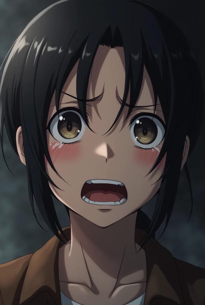 Mikasa Ackerman Crying