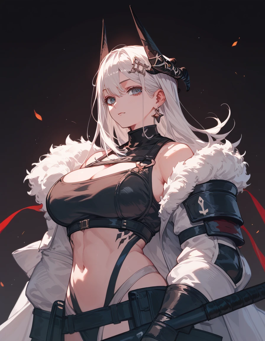 Big Breasts、long white hair 、adventurer、armor、put on a coat、Stinking eyes、black corner
