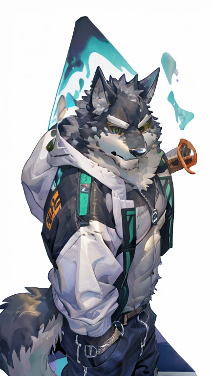 Monomasa,  furry, male, solo focus, Wolf, Tail, by kiyosan, by Yupa ,  by Pino Daeni , (by null-ghost:0.8), ( by drks :0.2), White hooded coat, Food Up, pants, deTailed eyes, black pupils, Green Eyes, Red conjunctiva, ( yellow eyeshadow:0.8),  High Angle, close-up,  high definition ,  top quality, 