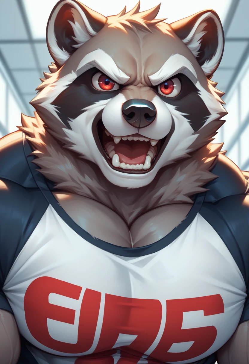 muscle raccoon, (((raccoon))), procyonid, furry, (thick, muscular, hypertrophy), ((gray fur)), (big eyes, red eyes), male, long snout, wide snout, black nose, (((focus on face))), ((massively muscular)), ((massively huge pecs)), ((very thick fur)), ((muscular neck)), ((freaking angry)), open mouth, showing teeth, stretched t-shirt, black t-shirt