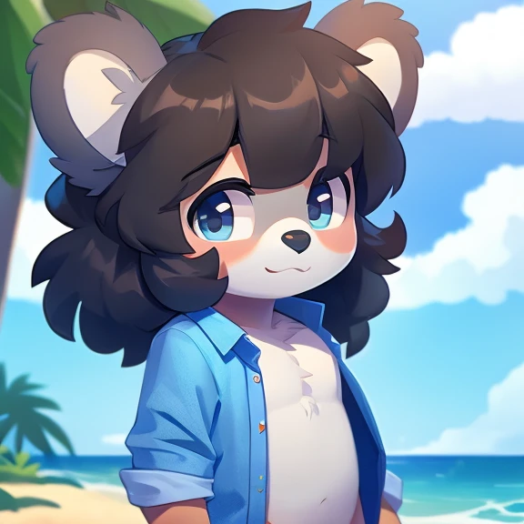 Boy for koala, cute, thick hair, detailed body, open shirt, beach background, high quality 