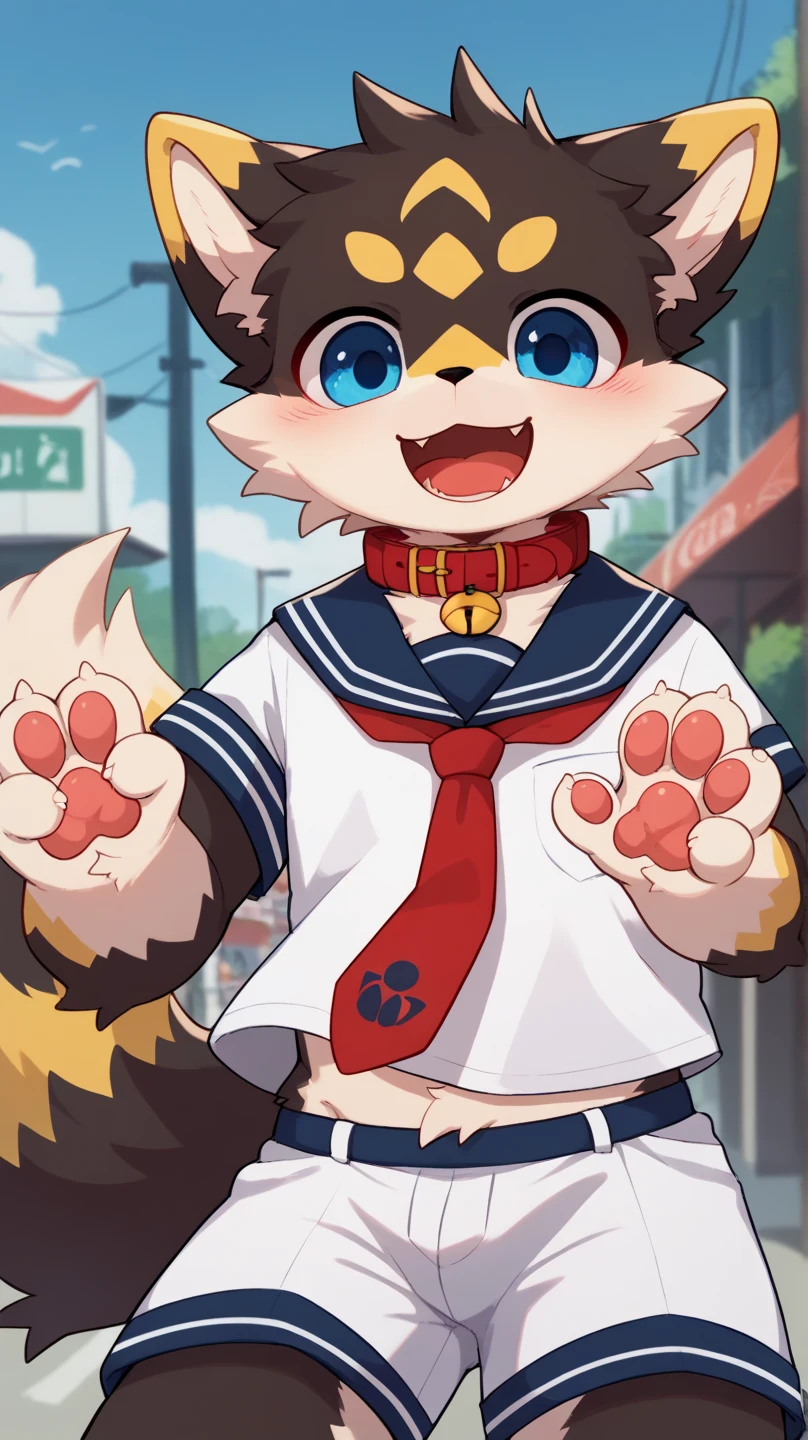  very detailedな, very detailed,yellow cat fur,,male, excited to see bones , wolf fur,Excited,participate, cute face, fluffy fur like one,Horny boy,cute ears ,Fluffy Ears ,Fluffy Ears ,Show me a paw ,Red collar,Tie the husband's , cute fur boy, boy,,Horny boy , black back , Blushing Nose ,Alone,Droopy ears, white shorts ,Blue Sailor Suit