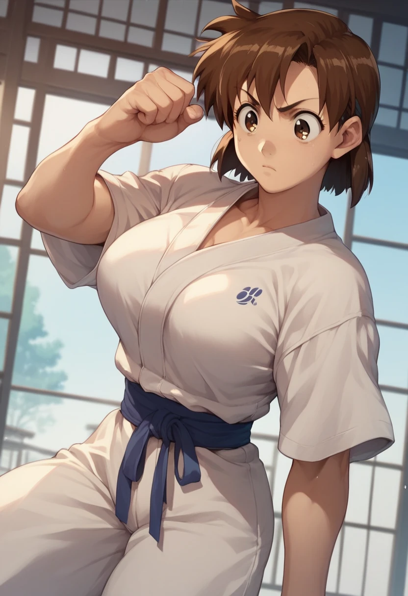 which_Kirie, brown hair, short hair, brown eyes　Big Breasts　Judo　Judo Hall　Submission　Overuse 