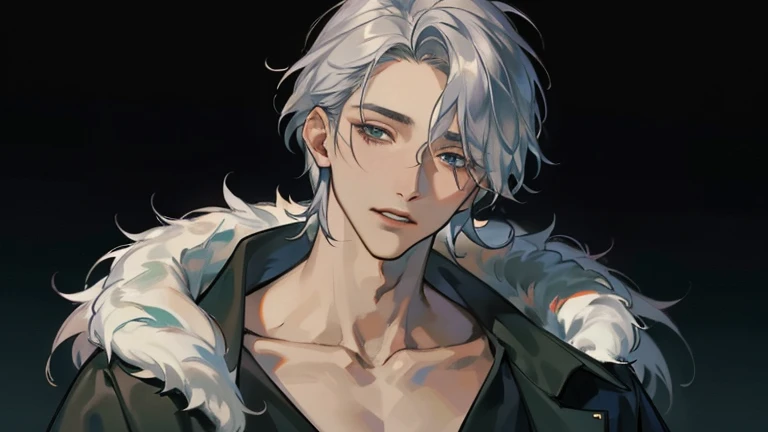 (( top quality)), ((  Masterpiece  )), (  Details),  1 young man、 Silver Hair、A neat, mature face 、Slightly slanted eyes、 wears a black v-neck on her upper body 、Beautiful collarbone 、night、winter、 wears a long coat made of fur with the front open、